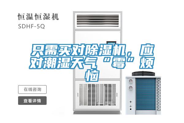 只需買對除濕機，應對潮濕天氣“霉”煩惱