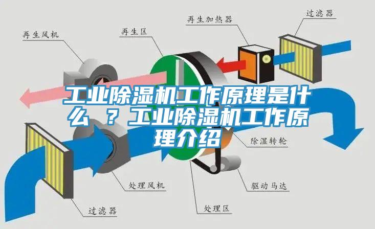 工業(yè)除濕機工作原理是什么 ？工業(yè)除濕機工作原理介紹