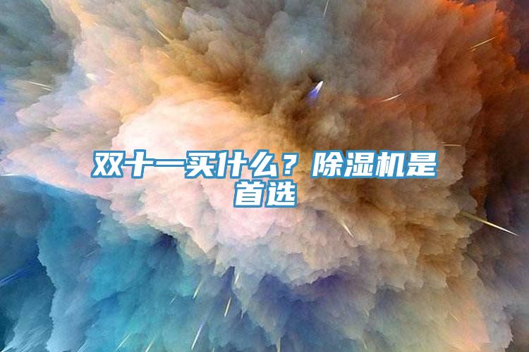 雙十一買什么？除濕機是首選