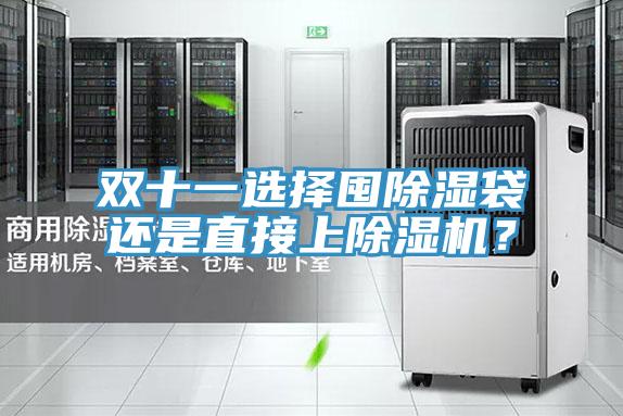 雙十一選擇囤除濕袋還是直接上除濕機(jī)？