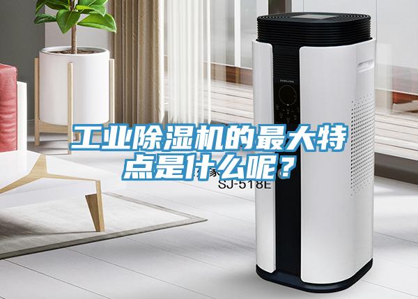 工業(yè)除濕機(jī)的最大特點(diǎn)是什么呢？