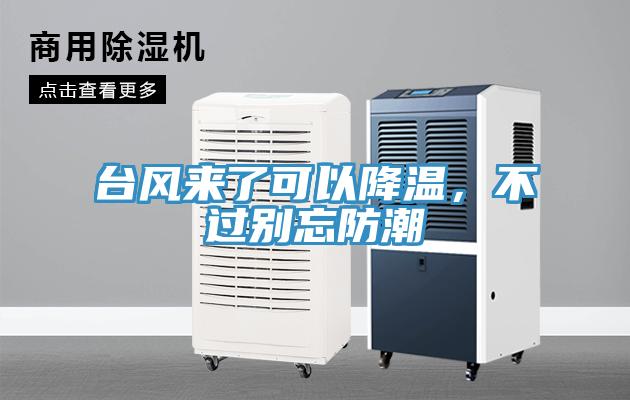 臺風來了可以降溫，不過別忘防潮