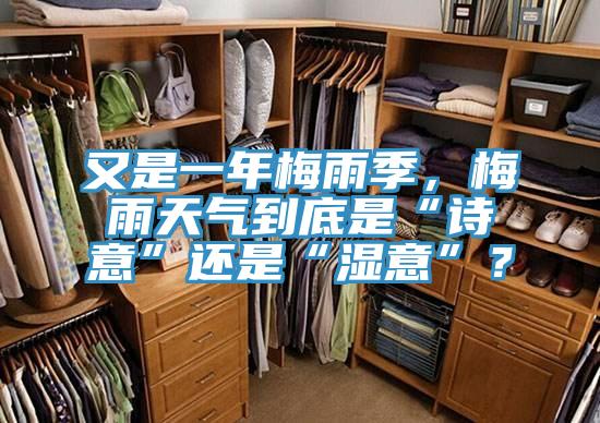 又是一年梅雨季，梅雨天氣到底是“詩意”還是“濕意”？