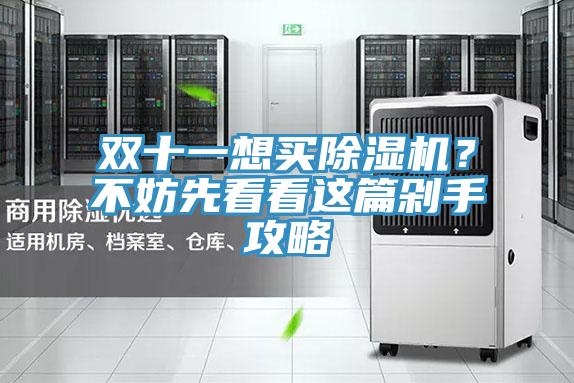 雙十一想買(mǎi)除濕機(jī)？不妨先看看這篇剁手攻略