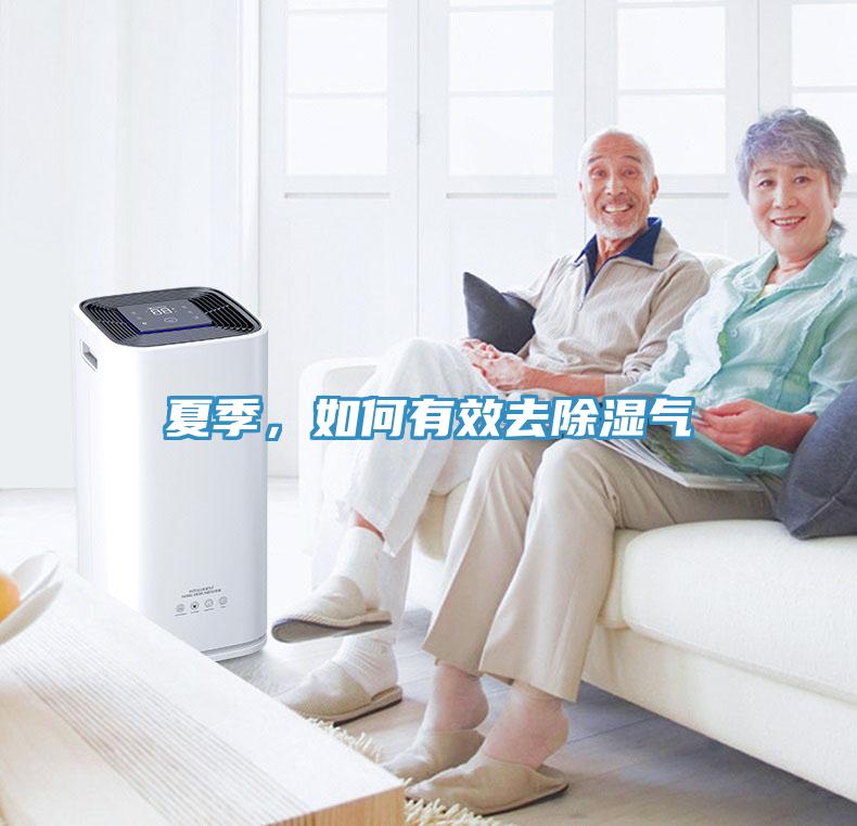 夏季，如何有效去除濕氣