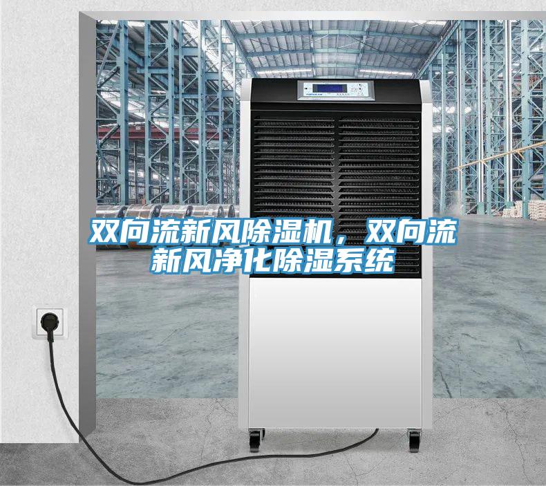 雙向流新風除濕機，雙向流新風凈化除濕系統(tǒng)