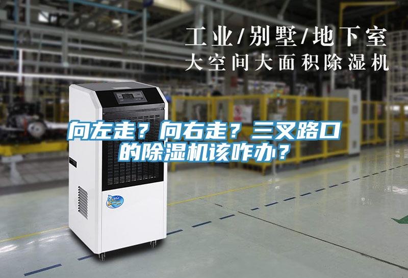 向左走？向右走？三叉路口的除濕機該咋辦？