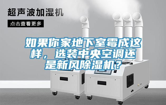 如果你家地下室霉成這樣，選裝中央空調(diào)還是新風(fēng)除濕機(jī)？