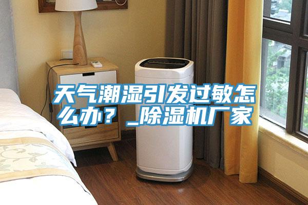 天氣潮濕引發(fā)過敏怎么辦？_除濕機(jī)廠家