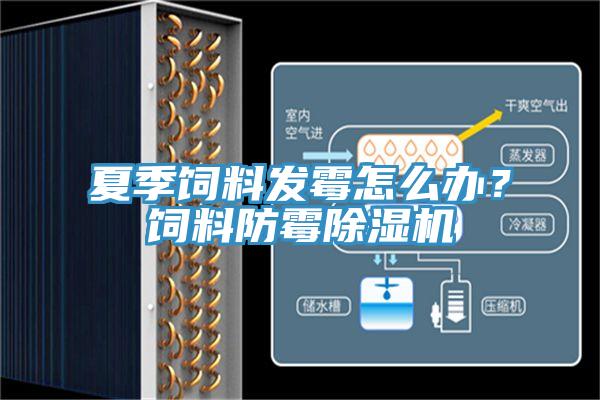 夏季飼料發(fā)霉怎么辦？飼料防霉除濕機(jī)