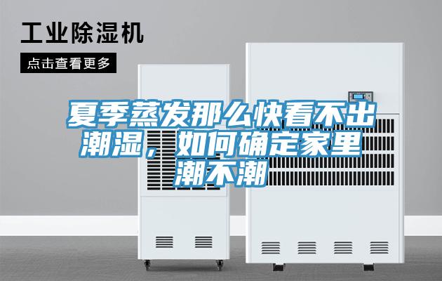 夏季蒸發(fā)那么快看不出潮濕，如何確定家里潮不潮