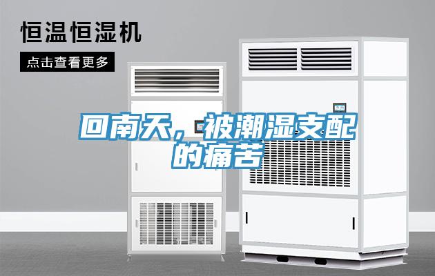 回南天，被潮濕支配的痛苦