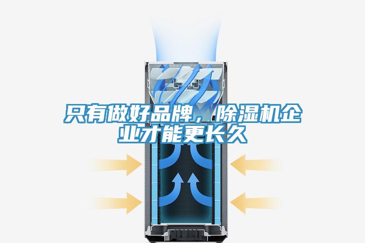 只有做好品牌，除濕機企業(yè)才能更長久