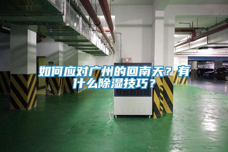 如何應(yīng)對廣州的回南天？有什么除濕技巧？