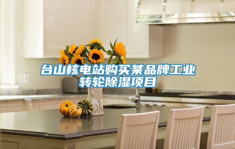 臺山核電站購買某品牌工業(yè)轉輪除濕項目