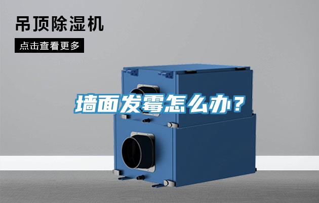 墻面發(fā)霉怎么辦？