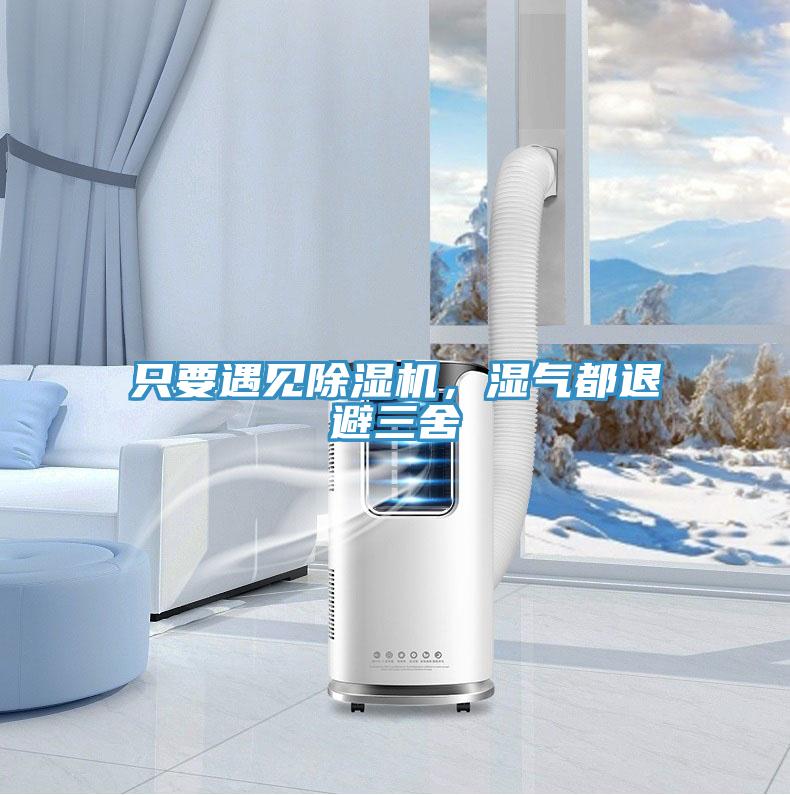 只要遇見除濕機，濕氣都退避三舍