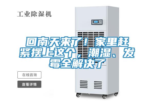 回南天來(lái)了！家里趕緊擺上這個(gè)，潮濕、發(fā)霉全解決了