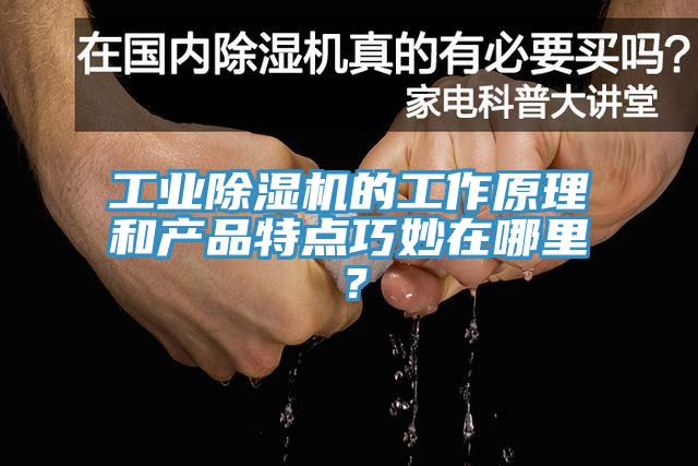 工業(yè)除濕機(jī)的工作原理和產(chǎn)品特點(diǎn)巧妙在哪里？