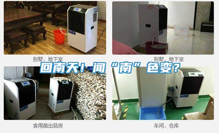 回南天！聞“南”色變？