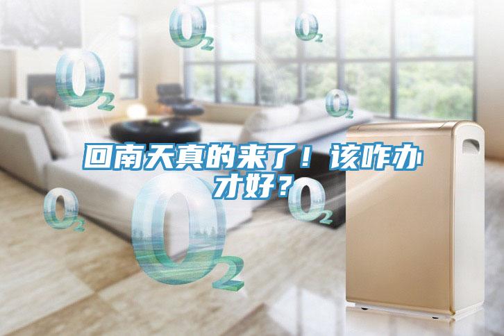 回南天真的來了！該咋辦才好？