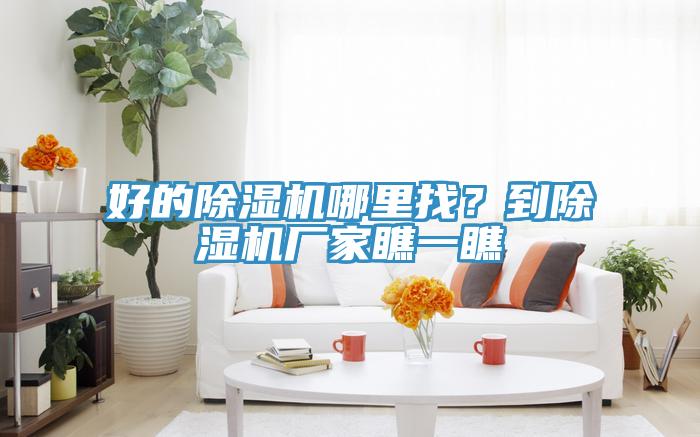 好的除濕機哪里找？到除濕機廠家瞧一瞧