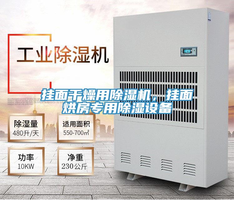 掛面干燥用除濕機(jī)，掛面烘房專用除濕設(shè)備
