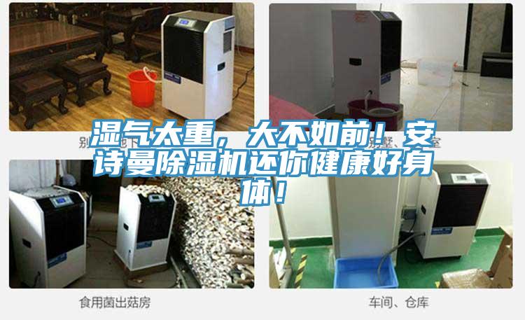 濕氣太重，大不如前！安詩曼除濕機(jī)還你健康好身體！