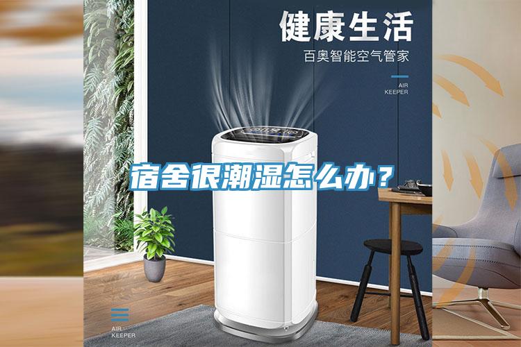 宿舍很潮濕怎么辦？