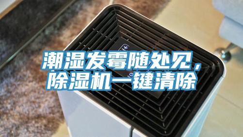潮濕發(fā)霉隨處見(jiàn)，除濕機(jī)一鍵清除