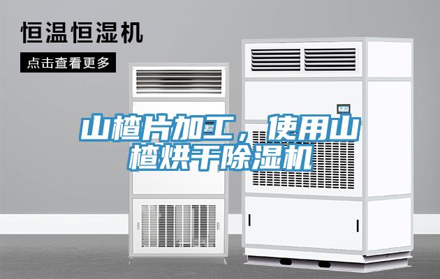 山楂片加工，使用山楂烘干除濕機(jī)