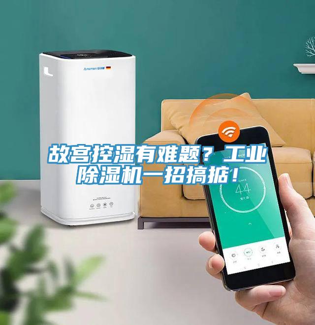 故宮控濕有難題？工業(yè)除濕機(jī)一招搞掂！