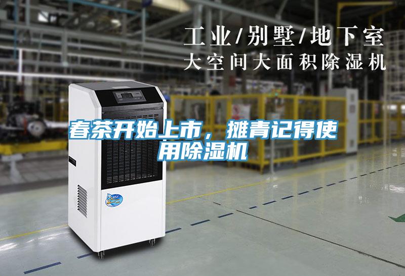 春茶開(kāi)始上市，攤青記得使用除濕機(jī)