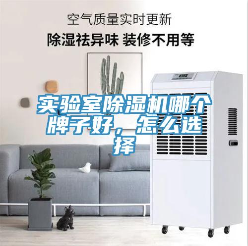 實(shí)驗(yàn)室除濕機(jī)哪個牌子好，怎么選擇