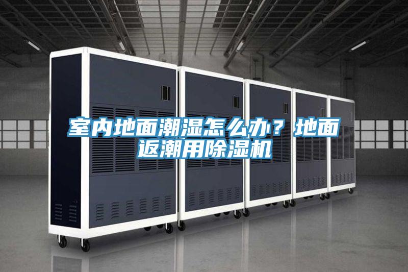 室內(nèi)地面潮濕怎么辦？地面返潮用除濕機