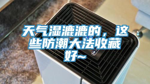 天氣濕漉漉的，這些防潮大法收藏好~