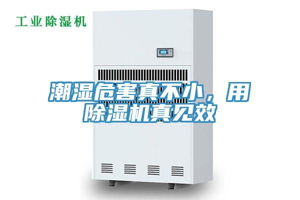 潮濕危害真不小，用除濕機(jī)真見效