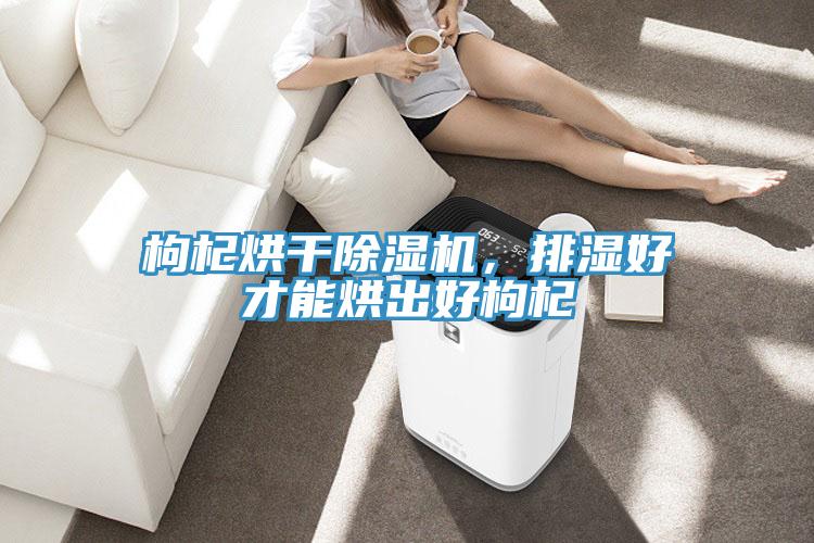 枸杞烘干除濕機，排濕好才能烘出好枸杞