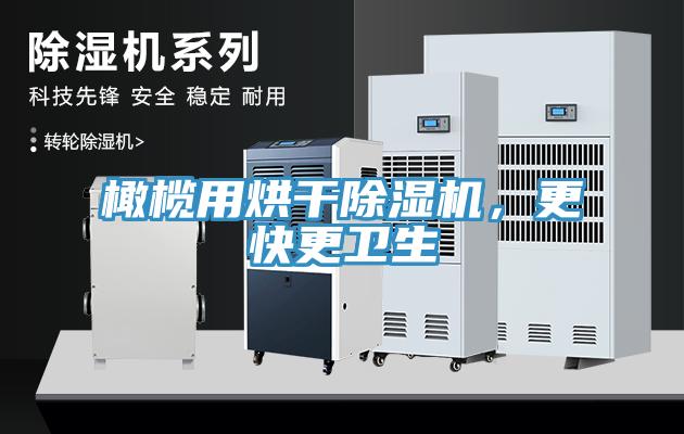 橄欖用烘干除濕機(jī)，更快更衛(wèi)生