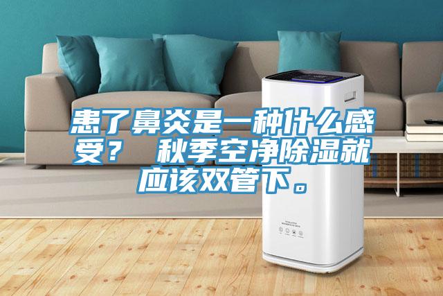 患了鼻炎是一種什么感受？ 秋季空凈除濕就應(yīng)該雙管下。