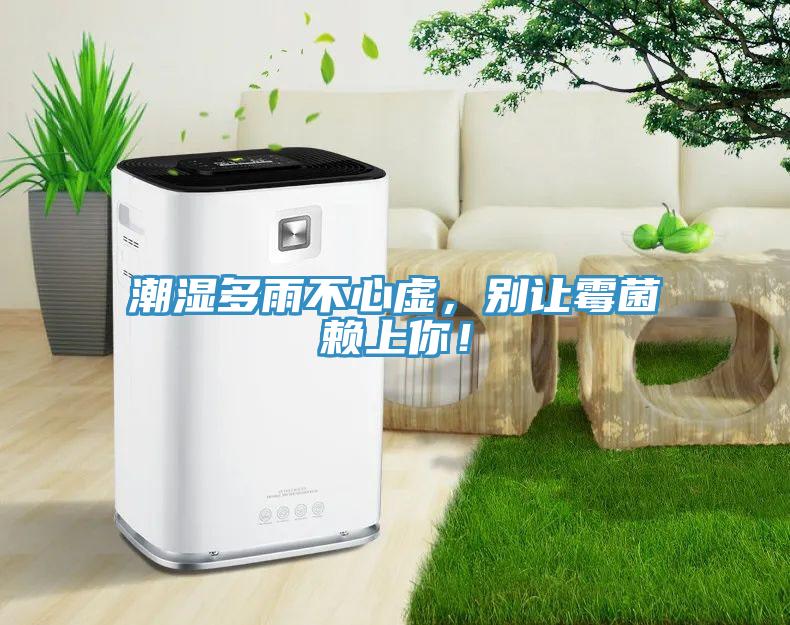 潮濕多雨不心虛，別讓霉菌賴上你！