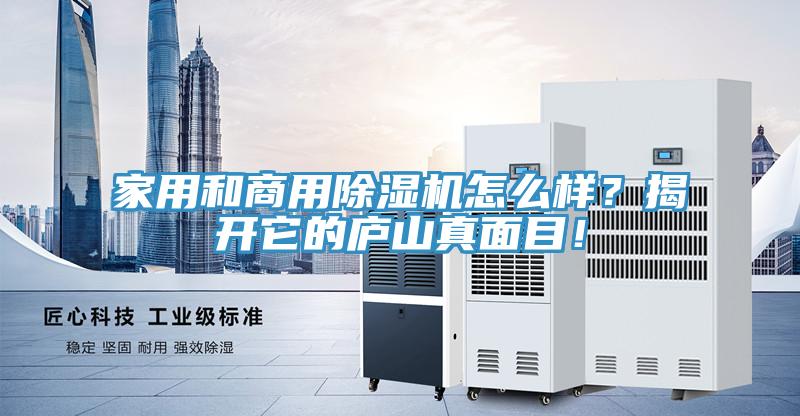 家用和商用除濕機(jī)怎么樣？揭開它的廬山真面目！