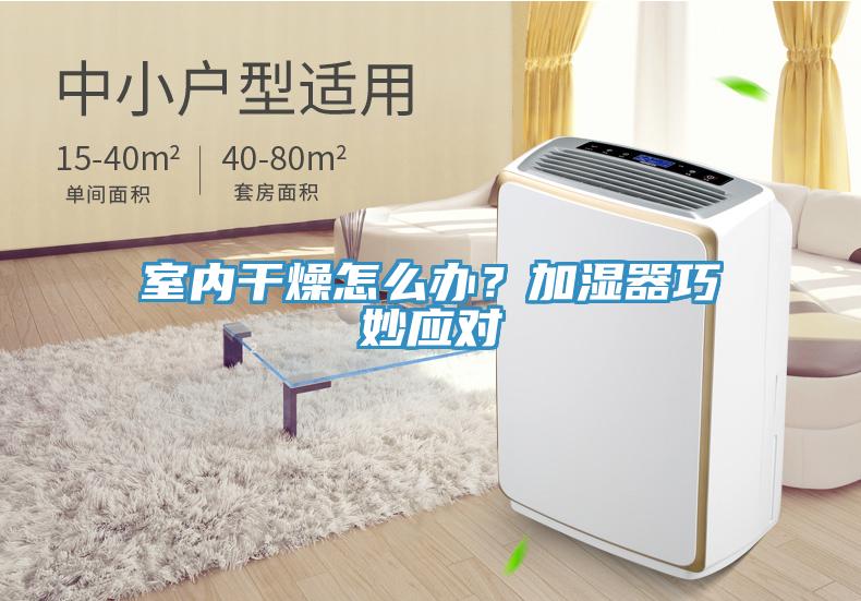 室內(nèi)干燥怎么辦？加濕器巧妙應對
