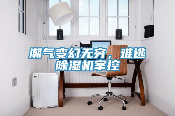 潮氣變幻無窮，難逃除濕機(jī)掌控