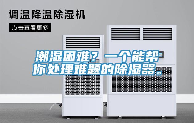 潮濕困難？一個(gè)能幫你處理難題的除濕器。
