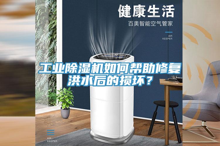 工業(yè)除濕機如何幫助修復(fù)洪水后的損壞？