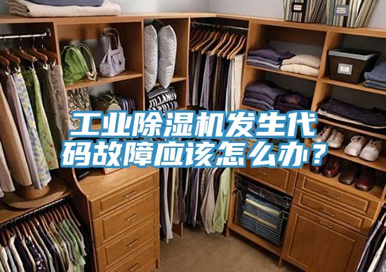工業(yè)除濕機(jī)發(fā)生代碼故障應(yīng)該怎么辦？