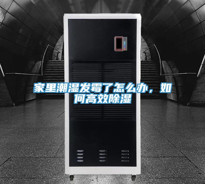 家里潮濕發(fā)霉了怎么辦，如何高效除濕