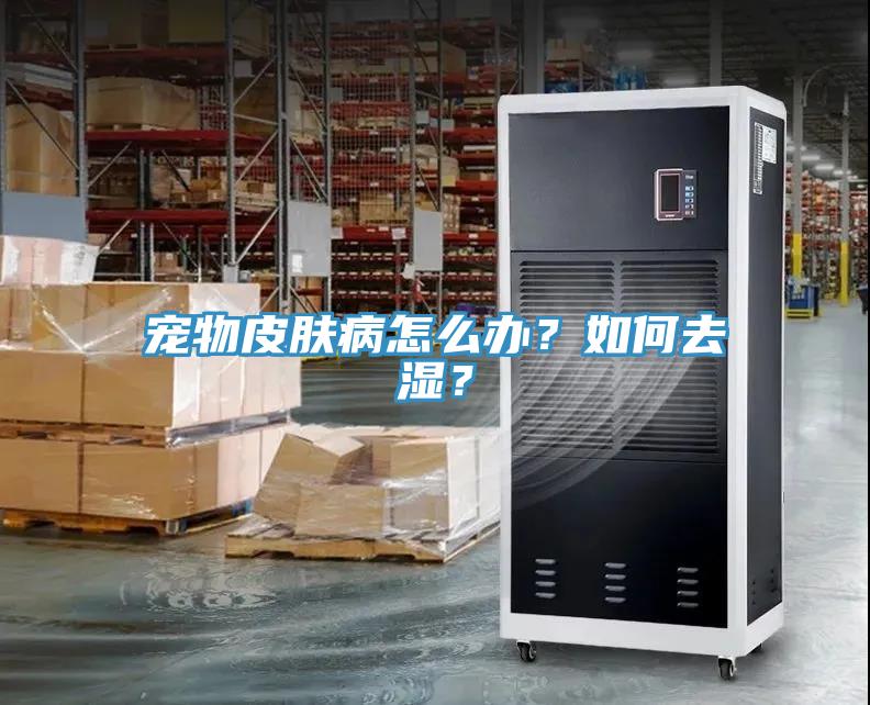 寵物皮膚病怎么辦？如何去濕？