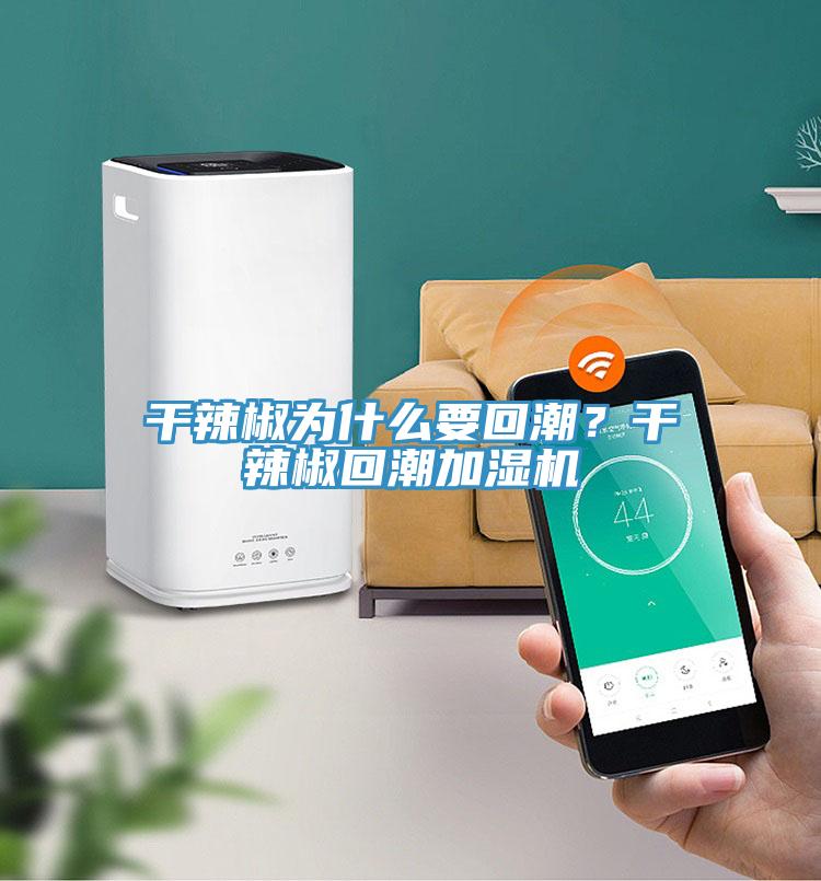 干辣椒為什么要回潮？干辣椒回潮加濕機(jī)